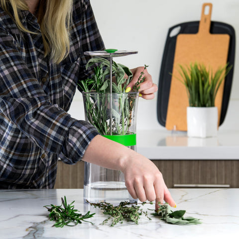 Image of Cuisipro Herb Keeper