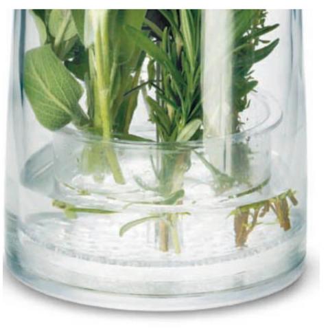 Image of Water filter vegetable preservation tank