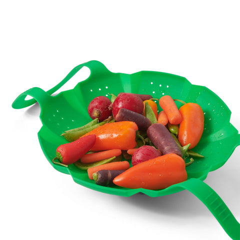 Image of Cooking Steamer
